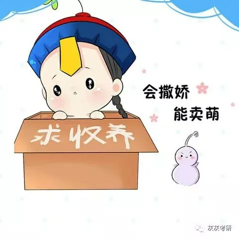 19安徽大学计算机技术考研经验