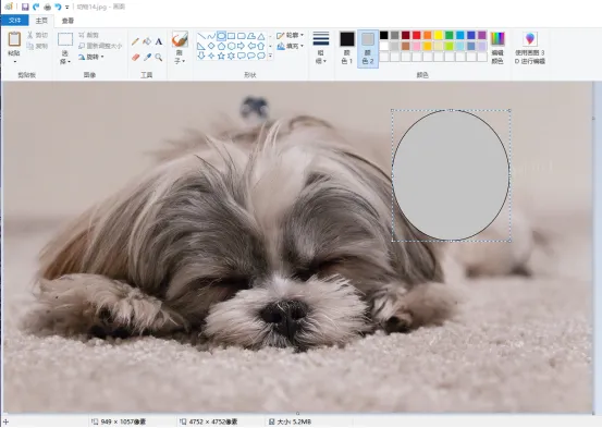 技多不压身!这7个超实用的Windows技巧,人人都应该知道!