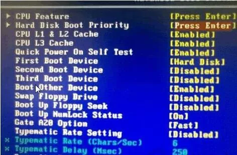 电脑技巧:U盘装系统解决BIOS界面找不到USB-HDD的问题