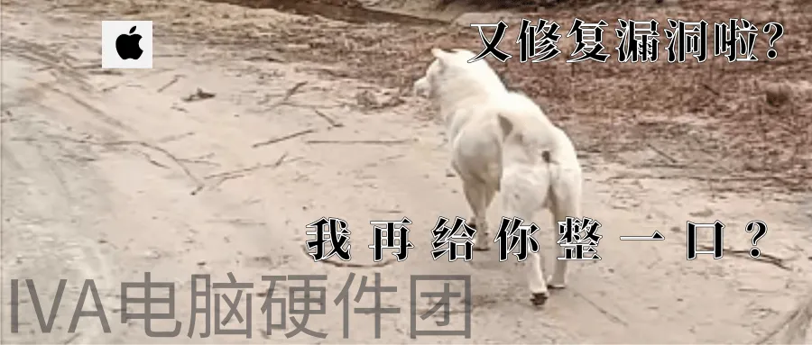 【IVA电脑硬件团-资讯区】IOS15.3更新修复大漏洞 Rambus首发PCIE6.0 紫光内存日本高层出走,闪存内存建不成了