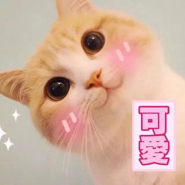 叮咚~南昌理工学院计算机技术与软件专业技术资格考试(简称软考)及NIT考试 免费公益培训来啦!