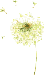 本周末两项考试(注册消防工程师、计算机技术与软件)应试人员注意事项