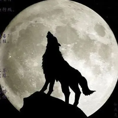 【新生讲座】计算机知识科普讲座来啦!