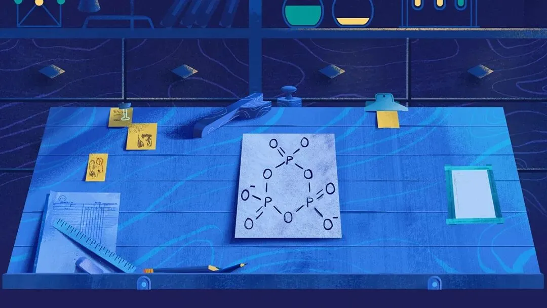 如何打造一套月入500万的网络营销体系?