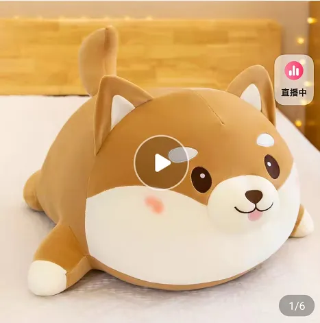 计算机知识竞赛|听说第一次举办的活动更容易得奖