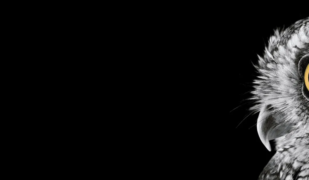 都9102年了,你还不知道这些Windows的隐藏技巧?