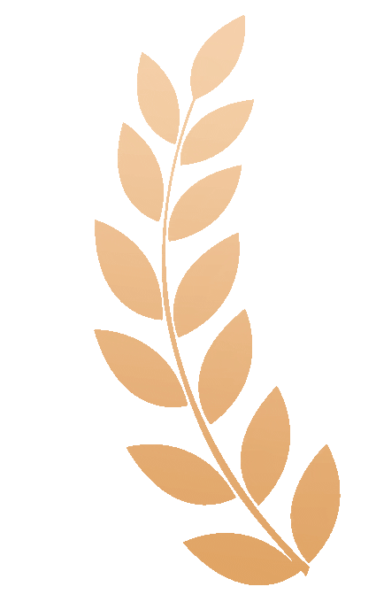 【服务器液冷技术应用的挑战与机遇】宝德计算机系统股份有限公司亮相2025数据中心&AI芯片&储能液冷散热大会