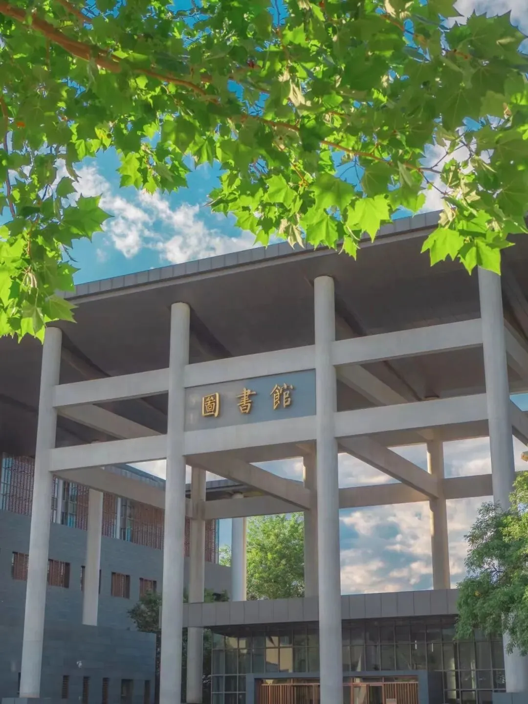 招生简章丨信息学院计算机应用技术专业2026春季在职课程培训班