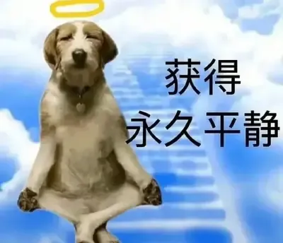 2026 CES 新鲜电脑硬件速览简评