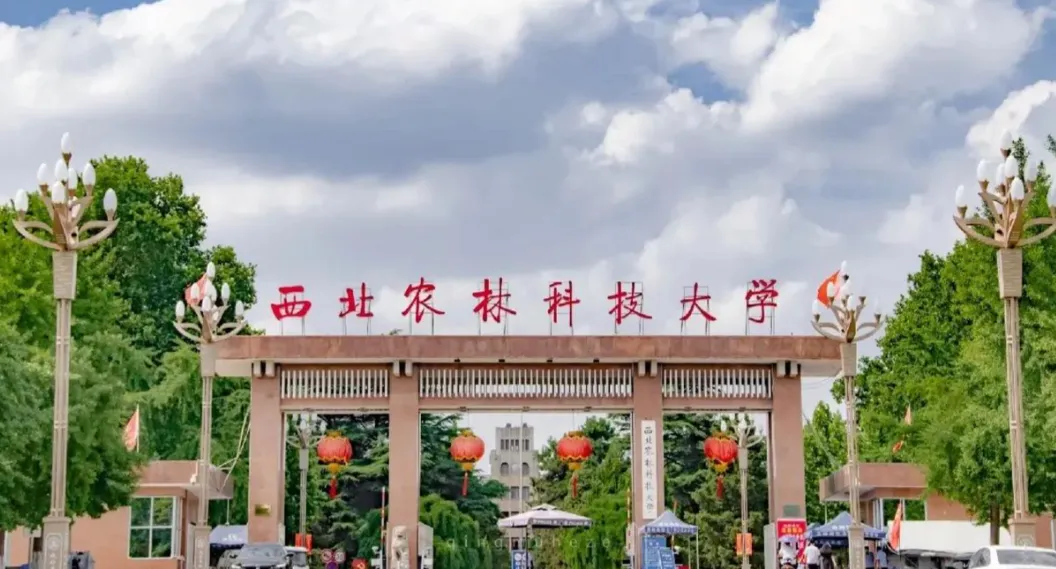 西北农林科技大学计算机科学与技术专业:被校名所累