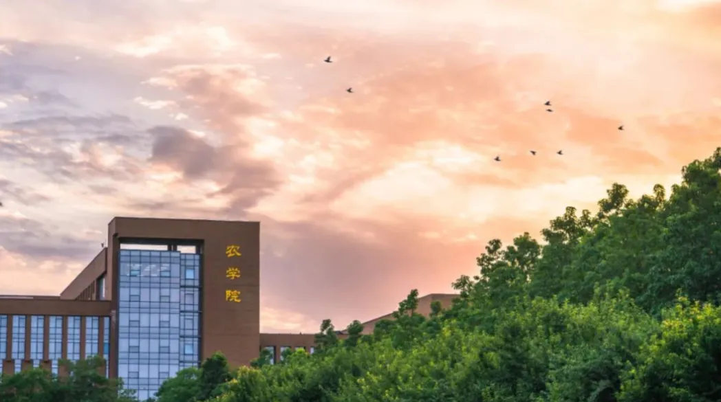 西北农林科技大学计算机科学与技术专业:被校名所累