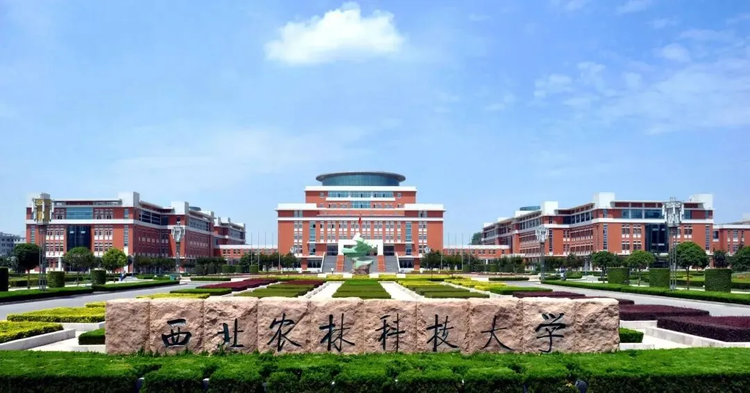 西北农林科技大学计算机科学与技术专业:被校名所累