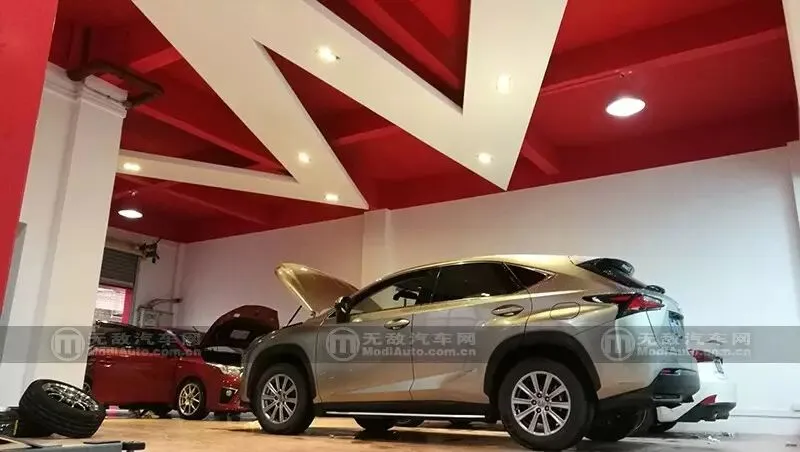 以电脑技术为核心 M Force广州总部介绍