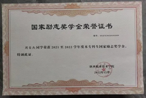 陕西职院计算机网络技术专业优秀毕业生风采