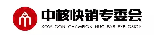 关于任命吴玲女士担任中核快销网络营销专业委员会执行会长的公告