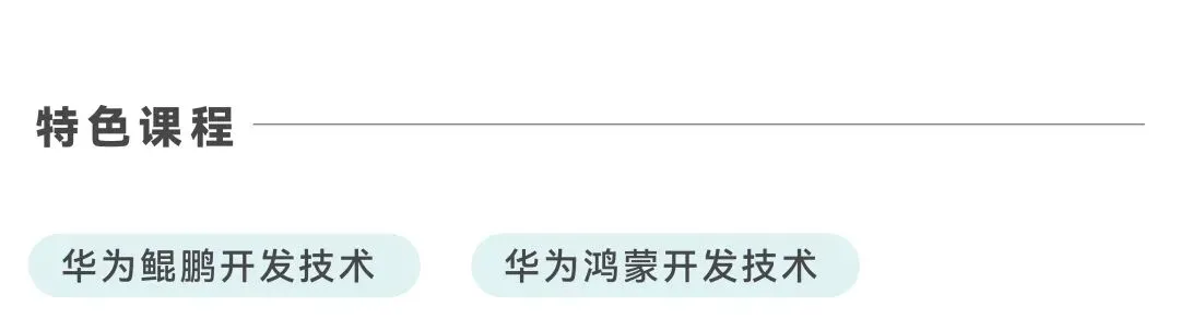 专升本专业|计算机科学与技术:一流专业,高薪就业