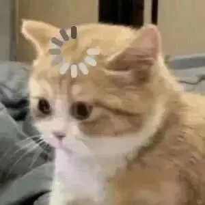 同等学力申硕|教育学/金融学/计算机技术 就业对口率排名