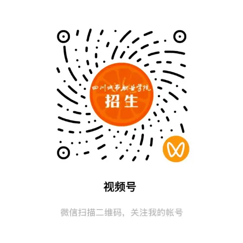 城院 • 专业 | 计算机网络技术:网络与安全人才紧缺,竞争力强、薪资高