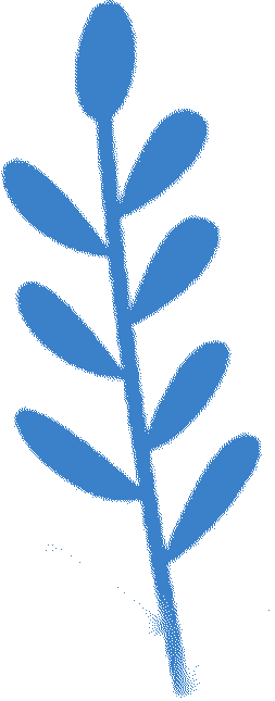 北京交通大学计算机科学与技术学院简介