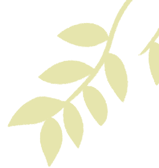 北京交通大学计算机科学与技术学院简介