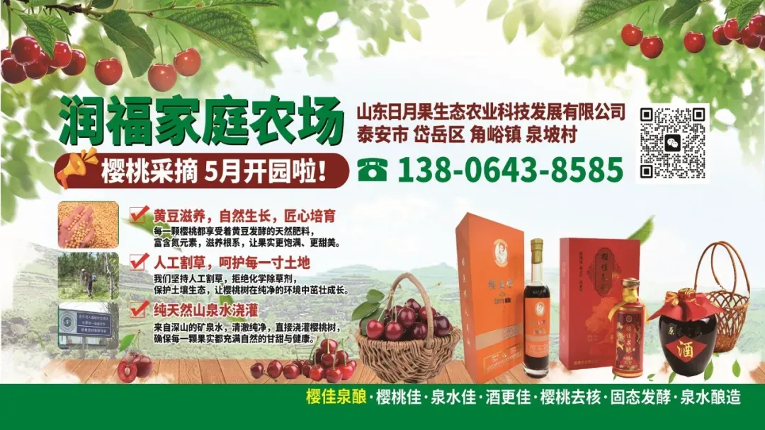 解锁短视频获客新逻辑·助力互联网运营第一课——【弘善食品·淄商讲坛】2026年第一期(总第5期)成功举办