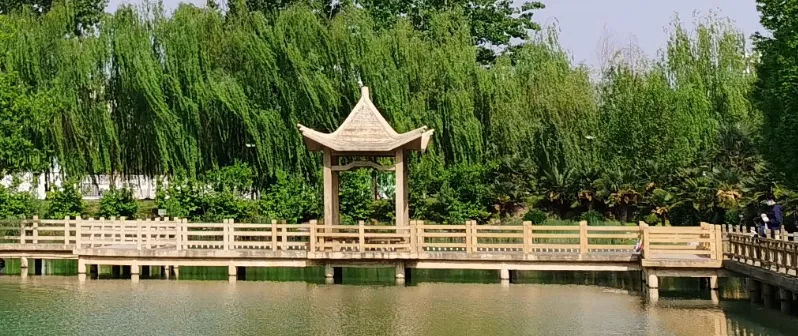 南阳理工学院,计算机技术、软件工程专业优秀突出,一所坐落于南阳宝地的宝藏大学