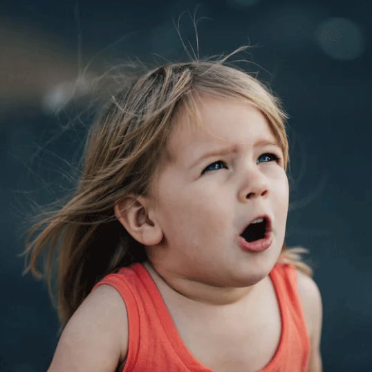 入驻信用家丨互联网家装时代新风口 让获客不再困难