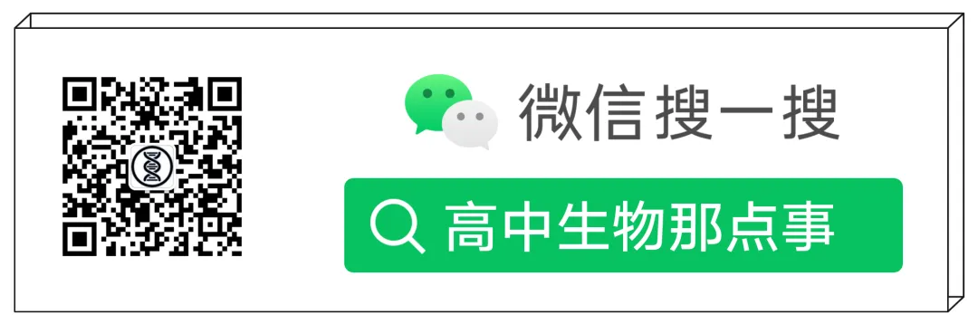 电脑技巧:PPT中的视频文件如何下载到本地