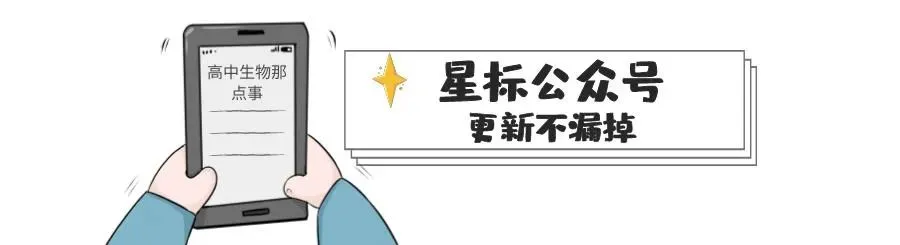 电脑技巧:PPT中的视频文件如何下载到本地