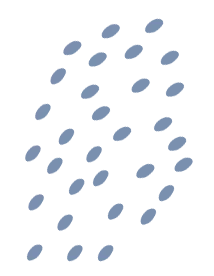 现代服务学院 | 计算机应用技术