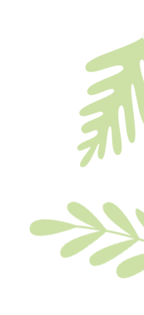 开学返校守安全 凝心聚力启新程|计算机技术学院安全须知