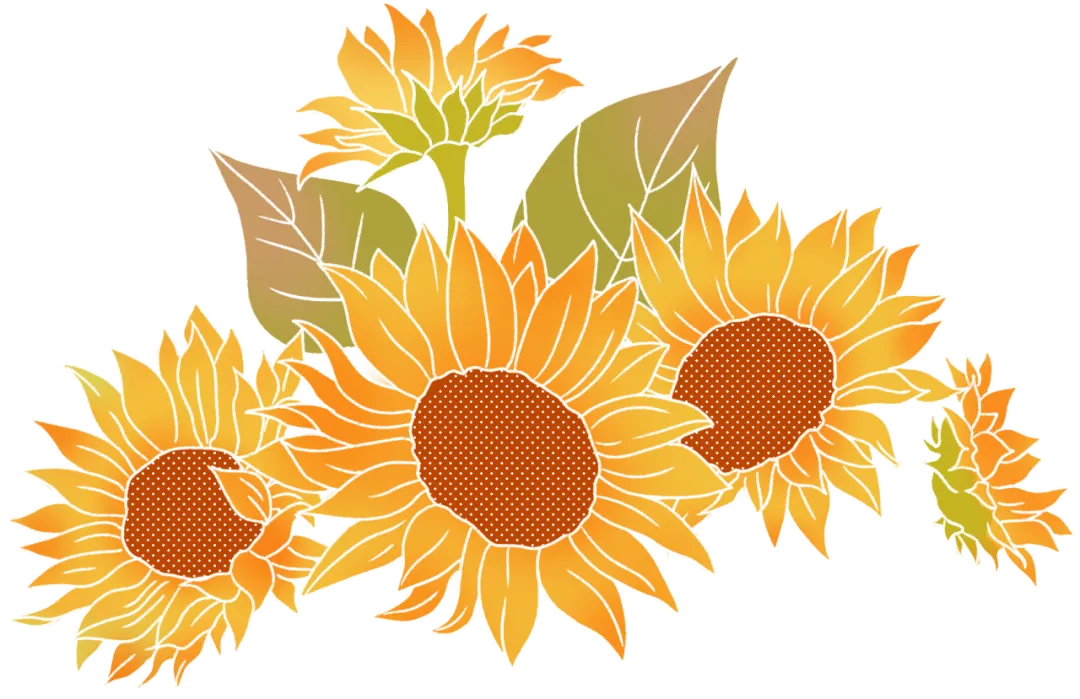 【单招专业库】计算机类(计算机应用技术、软件技术)|用代码敲出不一样的人生