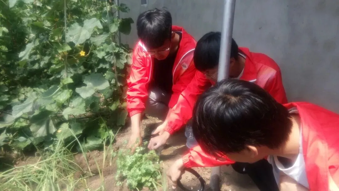 物联网应用技术、计算机网络技术专业介绍|黑龙江农业经济职业学院