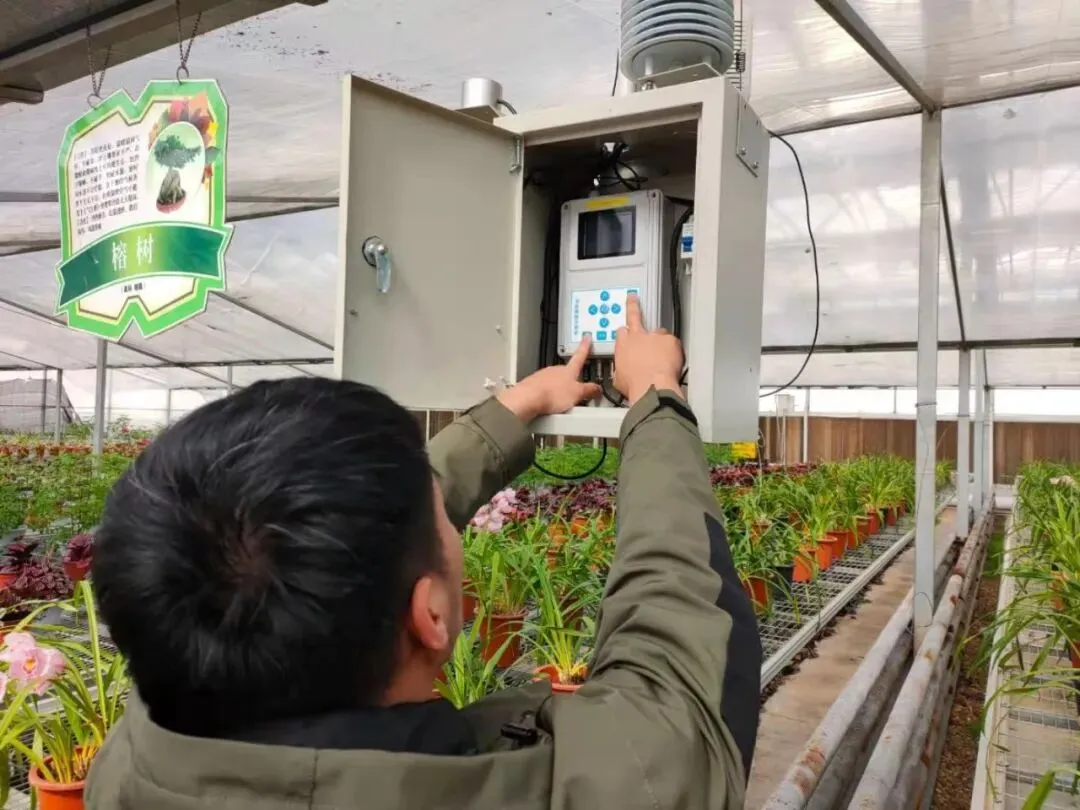 物联网应用技术、计算机网络技术专业介绍|黑龙江农业经济职业学院