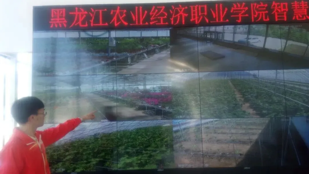 物联网应用技术、计算机网络技术专业介绍|黑龙江农业经济职业学院