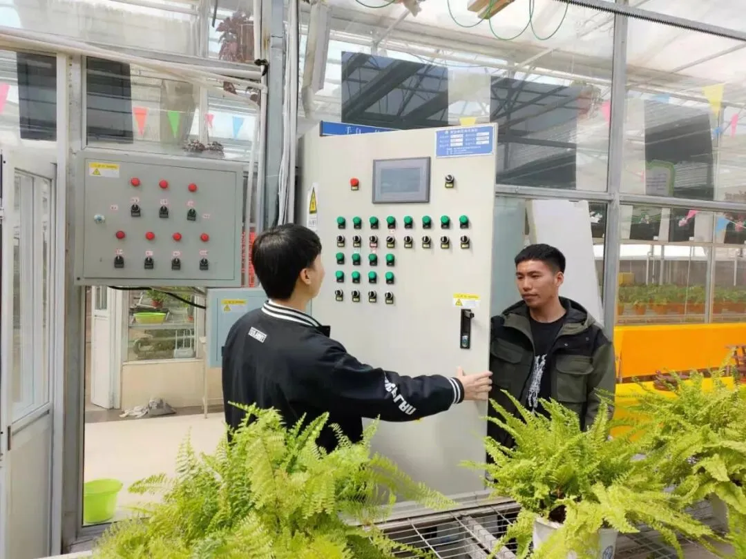 物联网应用技术、计算机网络技术专业介绍|黑龙江农业经济职业学院