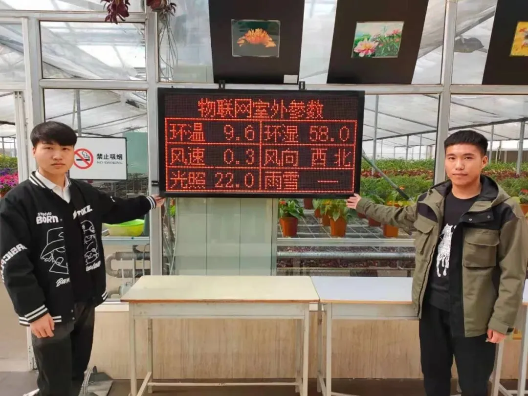 物联网应用技术、计算机网络技术专业介绍|黑龙江农业经济职业学院