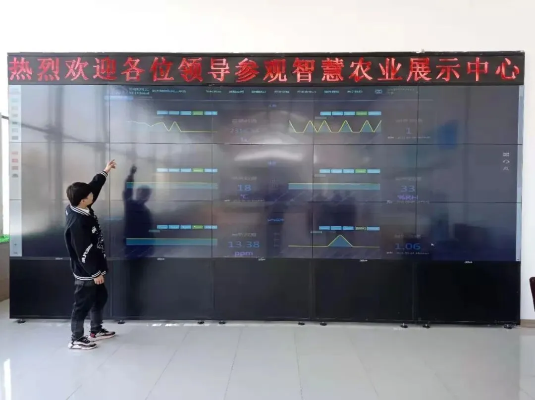 物联网应用技术、计算机网络技术专业介绍|黑龙江农业经济职业学院