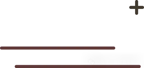 081200计算机科学与技术考研 | 南科大报考攻略