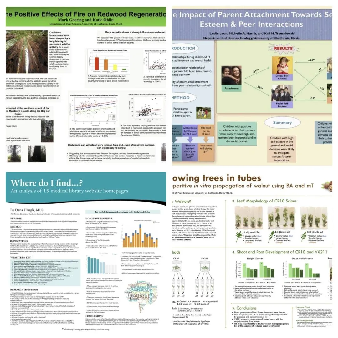 学术会议|第二届视觉、先进成像和计算机技术国际学术会议(VAICT 2026)