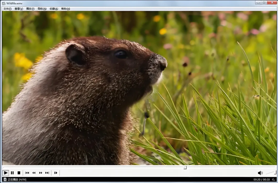 电脑技巧:实用的MPC-HC本地视频播放器软件介绍(附下载)