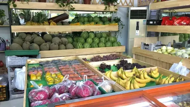 计算机技能 | 江苏农牧科技职业学院发布2026年中职职教高考招生计算机类专业基本技能考试考试须知