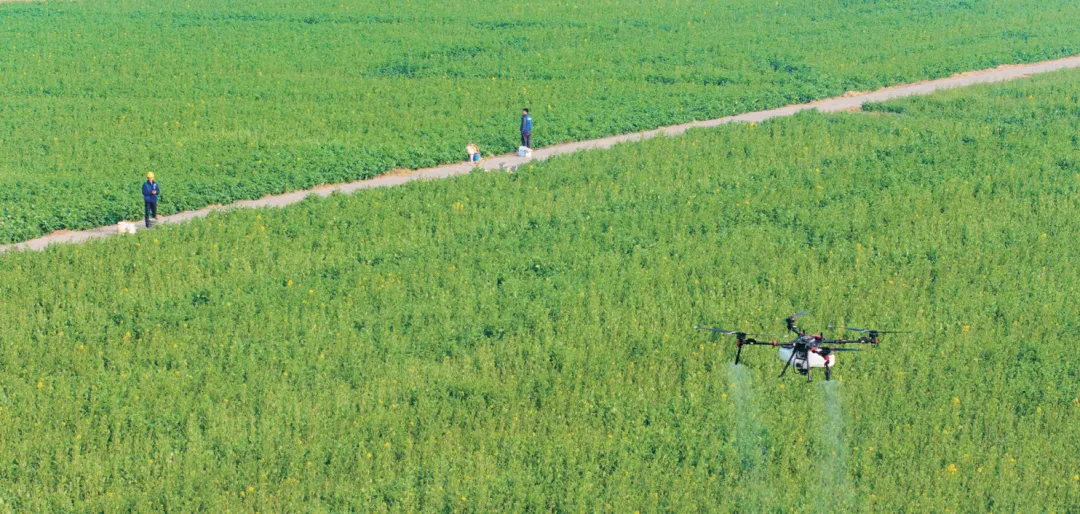 【技术前沿动态】计算机视觉引导下植保无人机精准操控与高效维护一体化方案