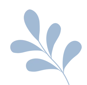 「就业指导方向定位|计算机科学与技术专业」把握行业趋势,市场、方向、就业路径全解析