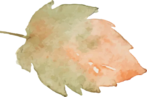 营销型包装 | 用货架思维,让产品自己开口卖货~