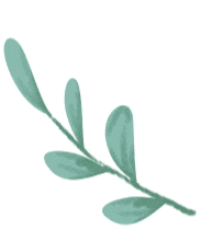 原浆精酿啤酒为什么成为市场新秀