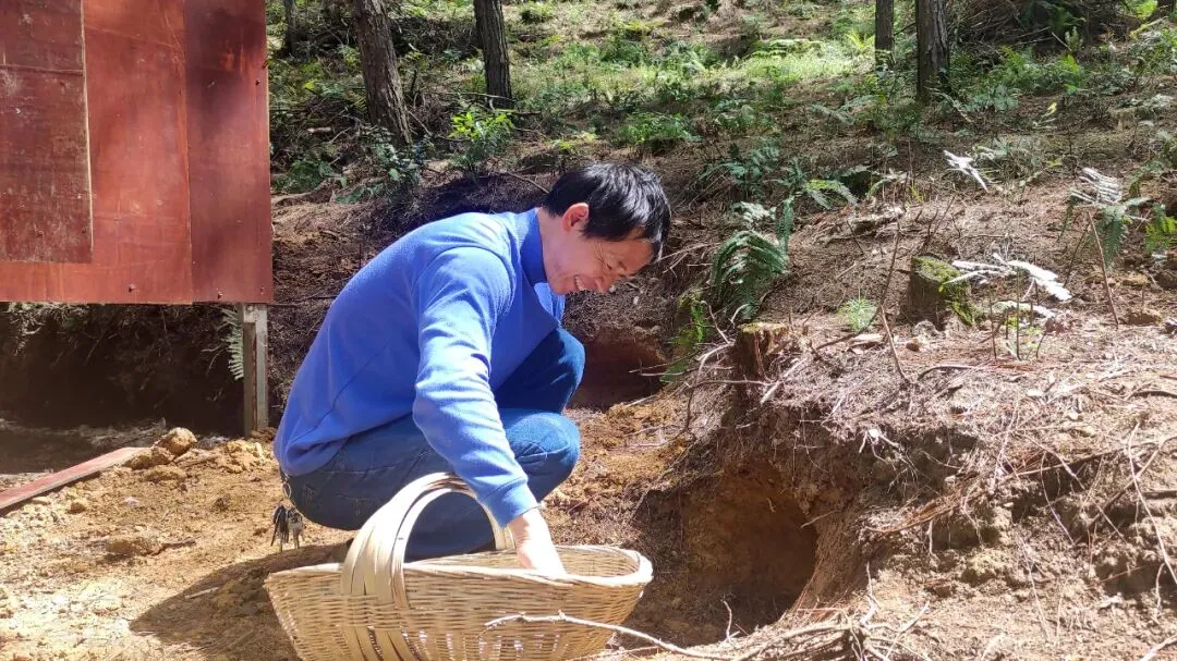 长顺绿色“金蛋”走俏市场!究竟有什么好,如此供不应求?答案是……