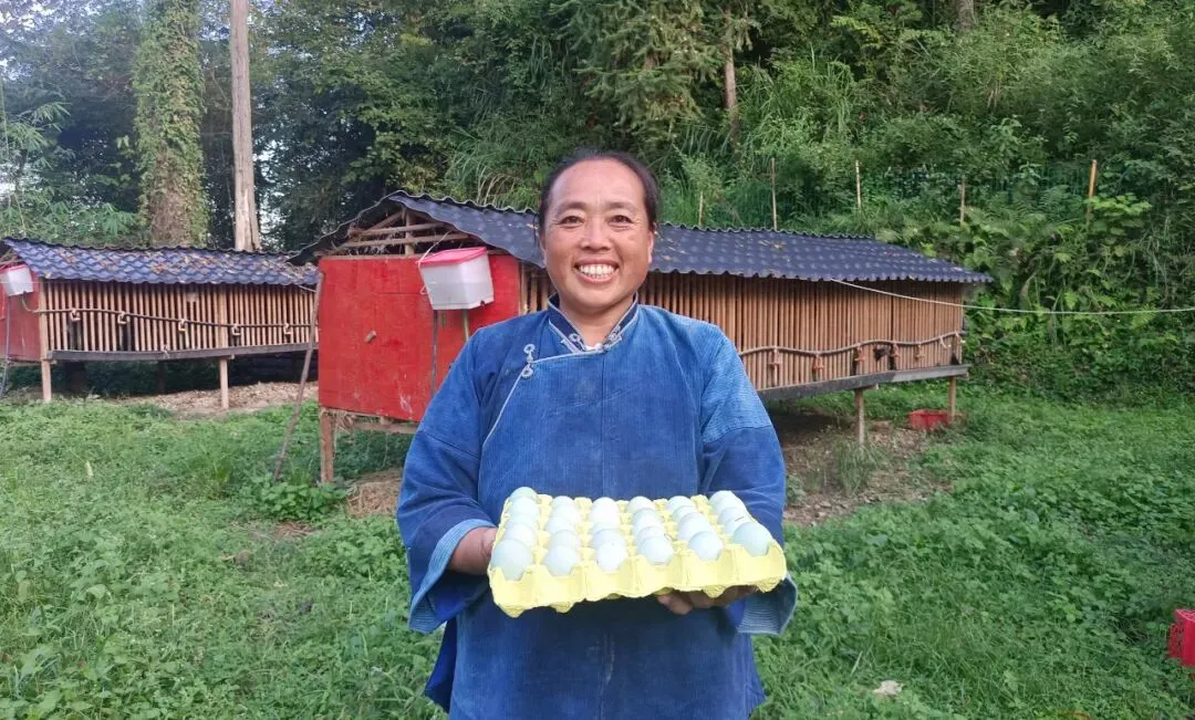 长顺绿色“金蛋”走俏市场!究竟有什么好,如此供不应求?答案是……