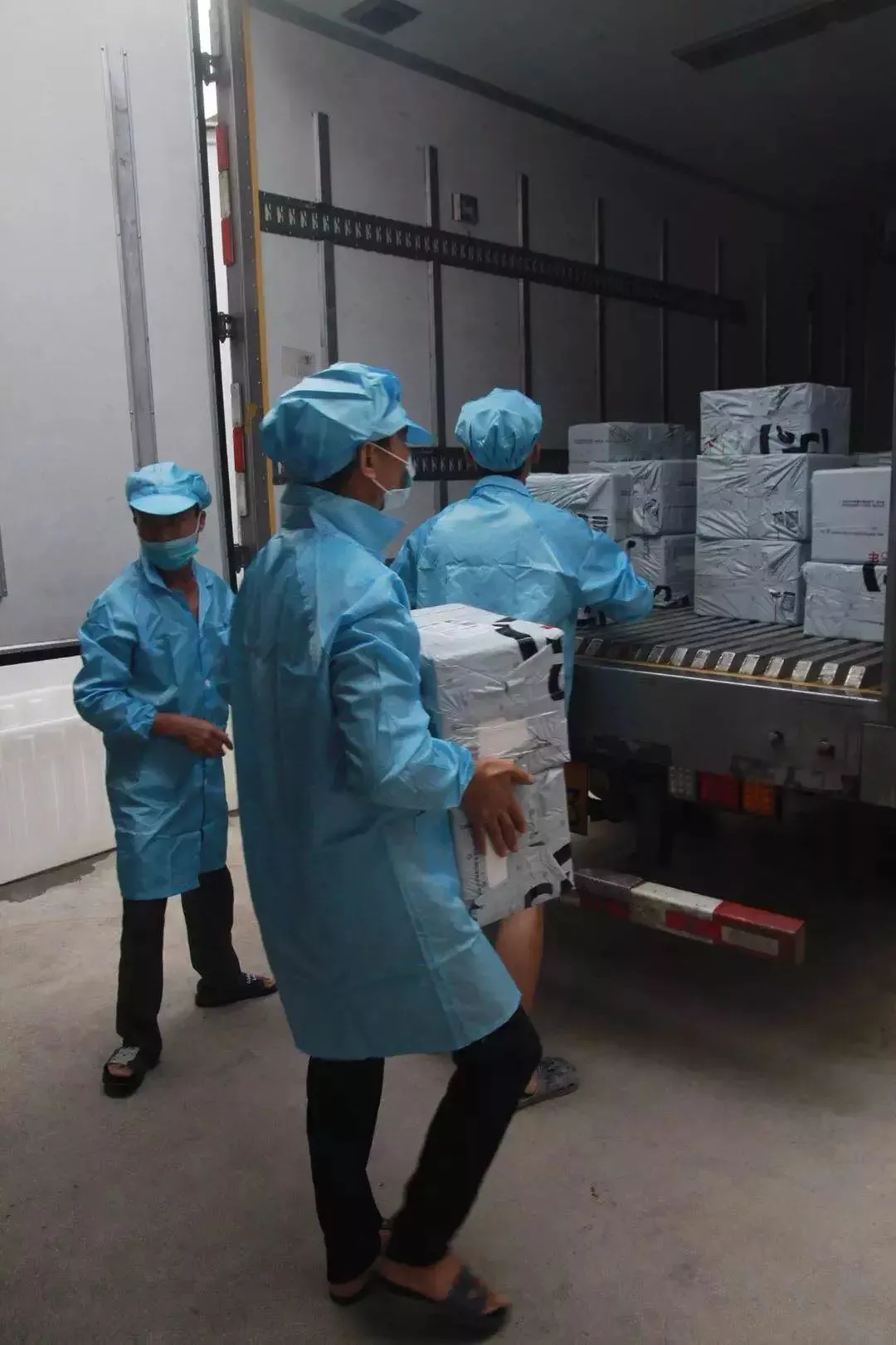 买菜新攻略!比市场还便宜?吃本港生猛海鲜人均只要50+、渔港直送到家!