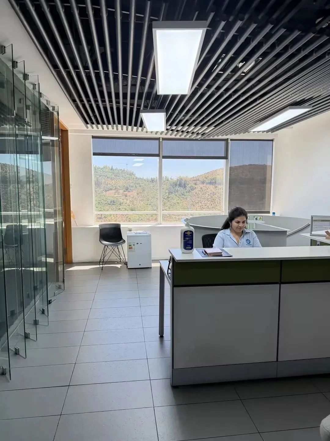 智利营销服务中心闪亮启幕,中国品牌在南美洲市场再添重要里程碑!